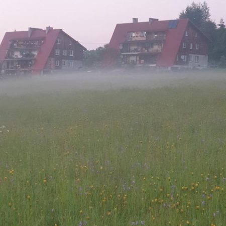 Apartament Wrzos Bieszczady Czarna  Exterior foto